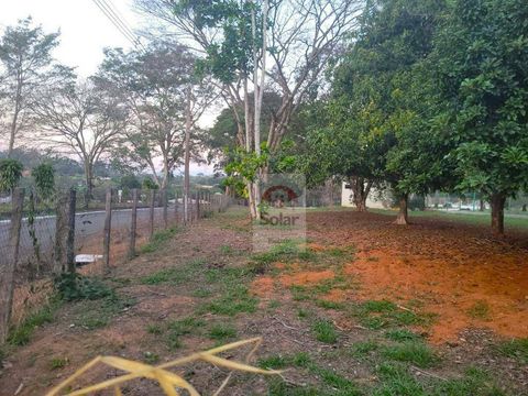 Foto Terreno