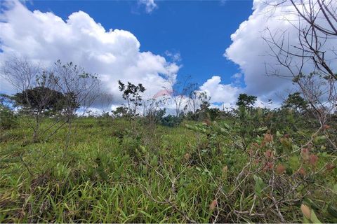 Foto Terreno