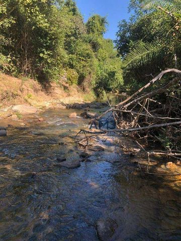 Foto Fazenda / Sítio / Chácara
