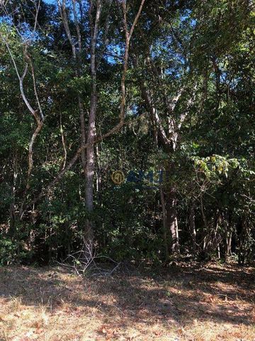 Foto Fazenda / Sítio / Chácara