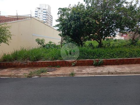 Foto Terreno