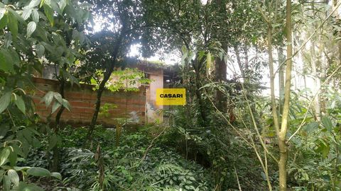 Foto Fazenda / Sítio / Chácara
