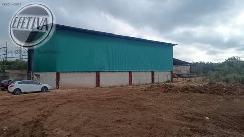 Foto Terreno