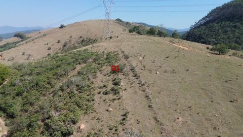 Foto Terreno