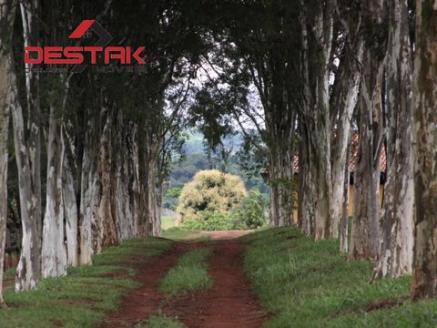 Foto Fazenda / Sítio / Chácara