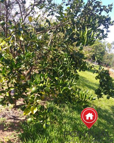 Foto Fazenda / Sítio / Chácara