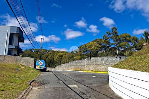 Foto Terreno