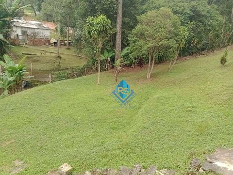 Foto Fazenda / Sítio / Chácara