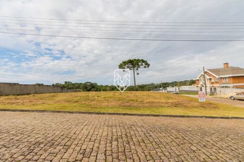 Foto Terreno
