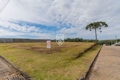 Foto Terreno