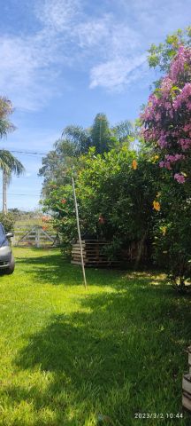 Foto Fazenda / Sítio / Chácara