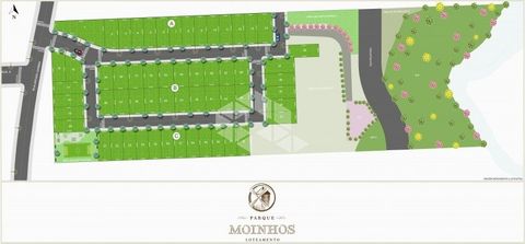 Foto Terreno