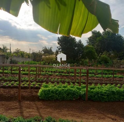 Foto Terreno