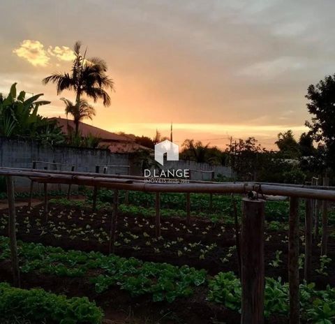Foto Terreno