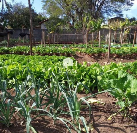 Foto Terreno