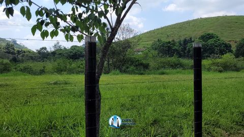 Foto Fazenda / Sítio / Chácara