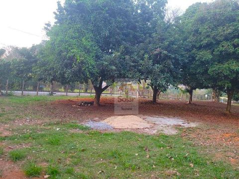 Foto Terreno