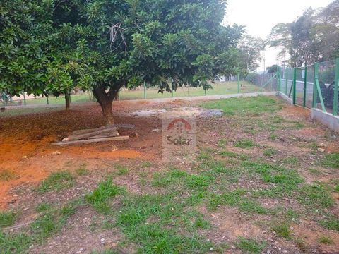 Foto Terreno