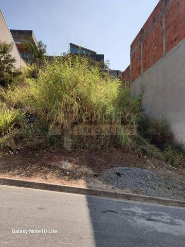 Foto Terreno