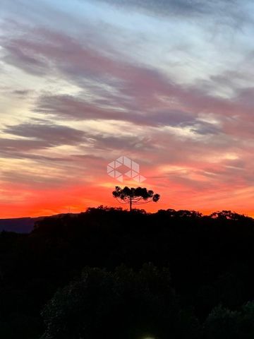 Foto Fazenda / Sítio / Chácara