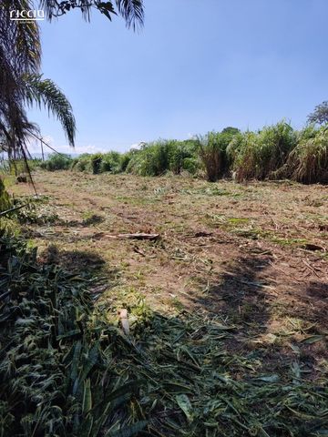 Foto Terreno