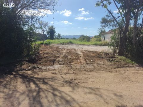 Foto Terreno