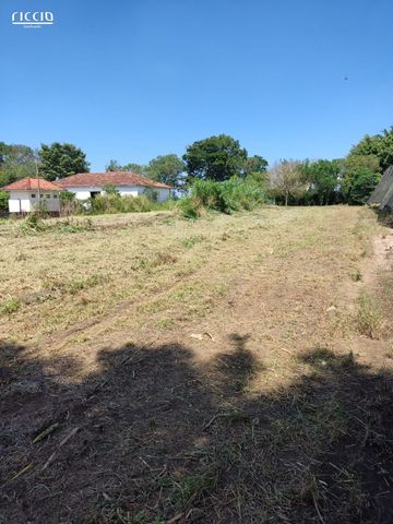 Foto Terreno