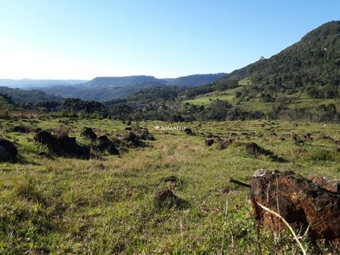 Foto Fazenda / Sítio / Chácara