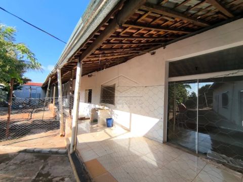 Foto Fazenda / Sítio / Chácara