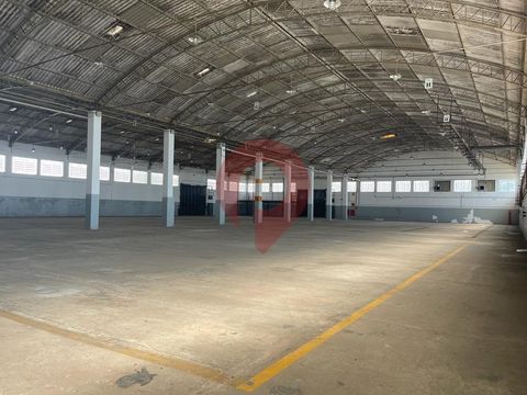 Foto Galpão / Depósito / Armazém / Pavilhão