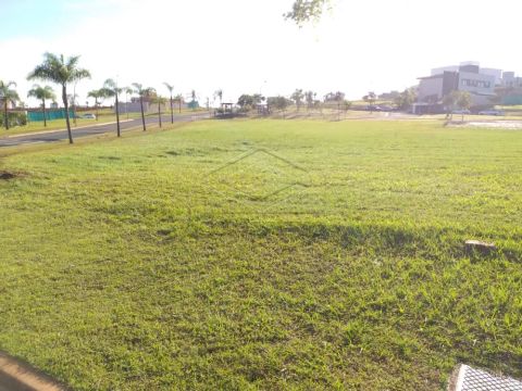 Foto Terreno
