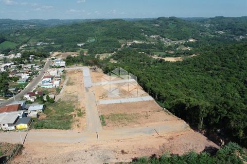 Foto Terreno