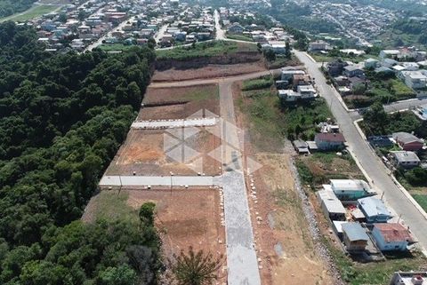 Foto Terreno