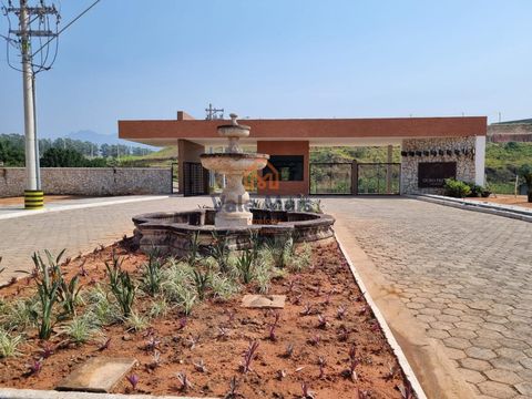 Foto Terreno