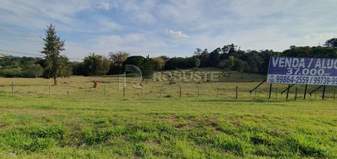 Foto Fazenda / Sítio / Chácara
