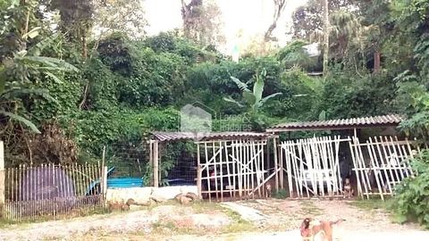 Foto Fazenda / Sítio / Chácara