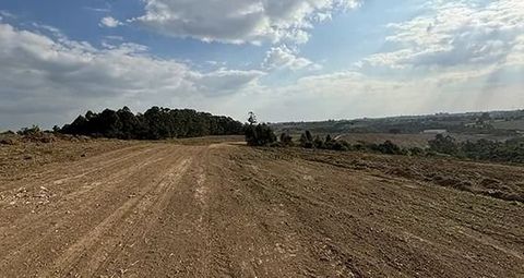 Foto Terreno
