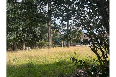 Foto Terreno