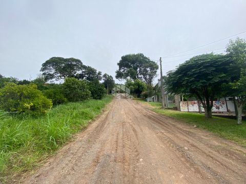 Foto Terreno