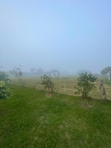 Foto Fazenda / Sítio / Chácara
