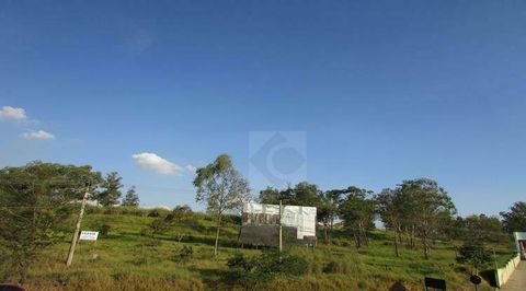 Foto Terreno