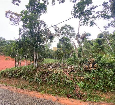 Foto Terreno