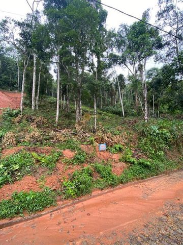 Foto Terreno
