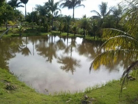 Foto Fazenda / Sítio / Chácara