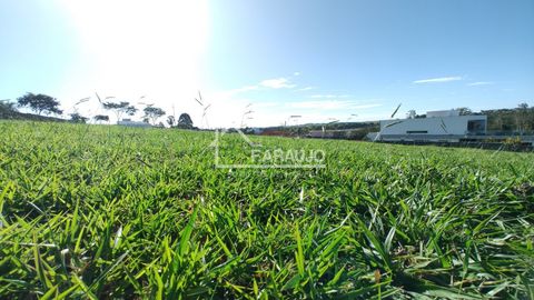Foto Terreno