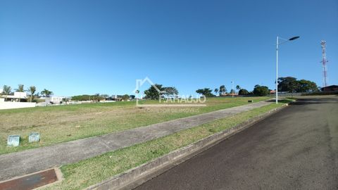 Foto Terreno