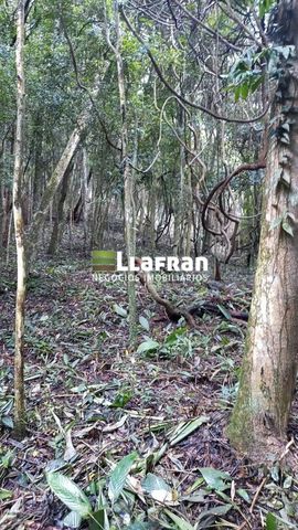 Foto Terreno