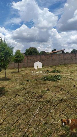 Foto Terreno