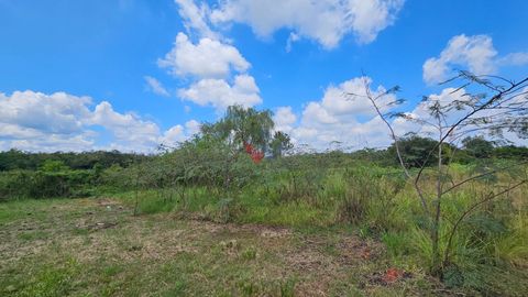 Foto Fazenda / Sítio / Chácara