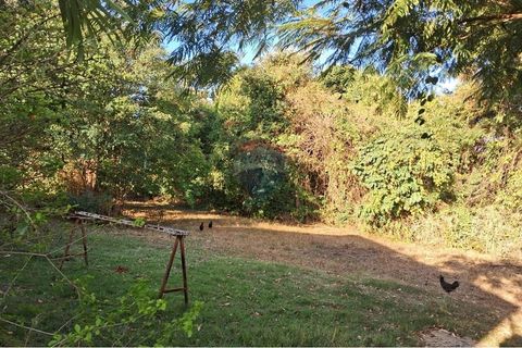 Foto Fazenda / Sítio / Chácara